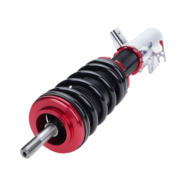 Pontiac GTO Coilover Function and Form